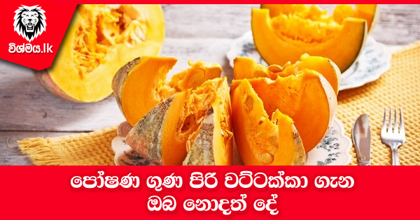 sinhala-articles-පෝෂණ-ගුණ-පිරි-වට්ටක්කා-Health