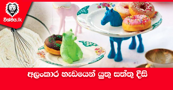 sinhala-articles-අලංකාර-හැඩයෙන්-යුතු-සත්තු-දීසි-Kitchen