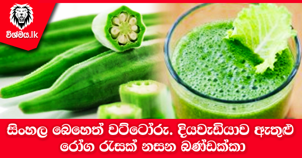 sinhala-articles-සිංහල-බෙහෙත්-වට්ටෝරු:-දියවැඩියාව-ඇතුළු-රෝග-රැසක්-නසන-බණ්ඩක්කා-Health