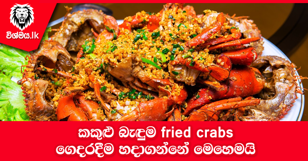 sinhala-articles-කකුළු-බැඳුම-fried-crabs-Kitchen