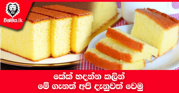 sinhala-articles-කේක්-හදන්න-කලින්අපි-දැනුවත්-වෙමු-Kitchen