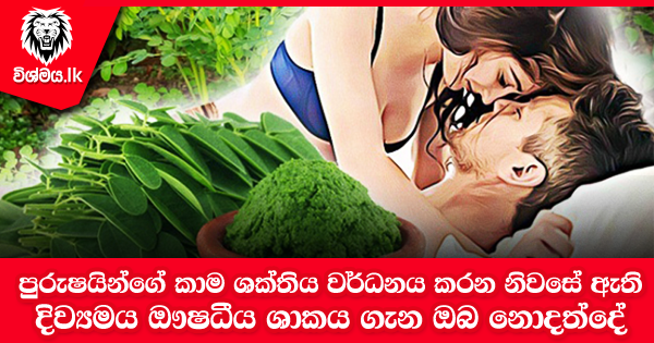 sinhala-articles-පුරුෂයින්ගේ-කාම-ශක්තිය-වර්ධනය-කරන-නිවසේ-ඇති-දිව්‍යමය-ඖෂධීය-ශාකය-ගැන-ඔබ-නොදත්දේ-SexEducation