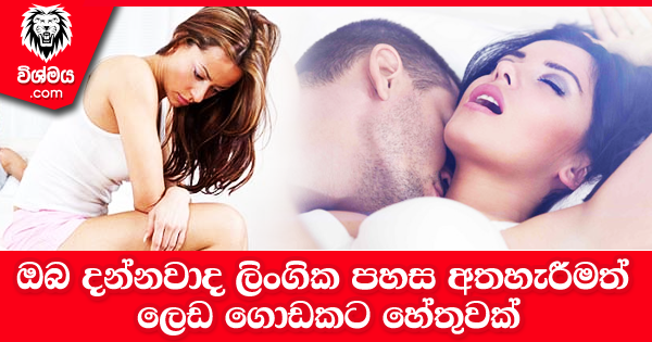 sinhala-articles-ලිංගික-පහස-අතහැරීමත්-ලෙඩ-ගොඩකට-හේතුවක්-SexEducation