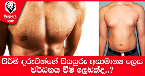 sinhala-articles-පිරිමි-දරුවන්ගේ-පියයුරු-අසාමාන්‍ය-ලෙස-වර්ධනය-වීම-ලෙඩක්ද-SexEducation