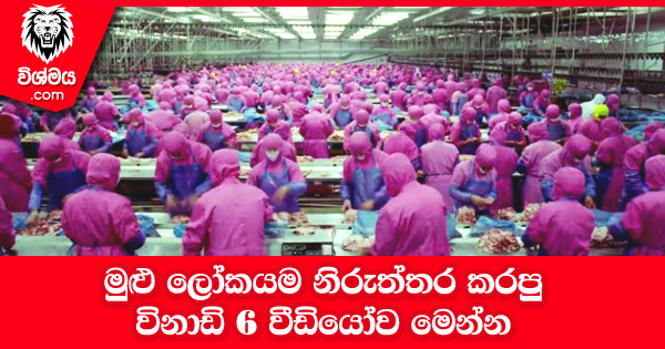 sinhala-articles-මුළු-ලෝකයම-නිරුත්තර-කරපු-විනාඩි-6-වීඩියෝව-මෙන්න-Gossip