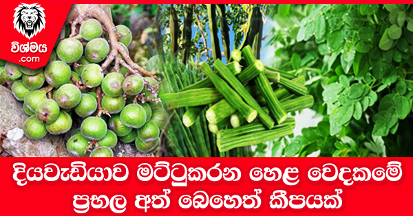 sinhala-articles-දියවැඩියාව-මට්ටුකරන-හෙළ-වෙදකමේ-ප්‍රභල-අත්-බෙහෙත්-කීපයක්-Life