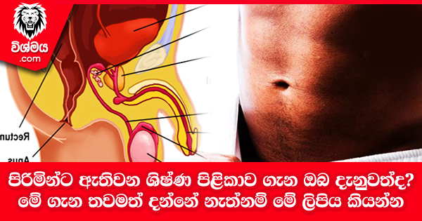 sinhala-articles-පිරිමින්ට-ඇතිවන-ශිෂ්ණ-පිළිකාව-ගැන-ඔබ-දැනුවත්ද-Gossip