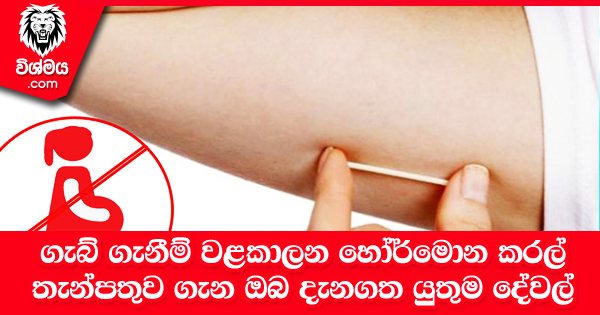 sinhala-articles-ගැබ්-ගැනීම්-වළකාලන-හෝර්මොන-කරල්-තැන්පතුව-ගැන-ඔබ-දැනගත-යුතුම-දේවල්-SexEducation