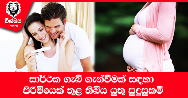 sinhala-articles-සාර්ථක-ගැබ්-ගැන්වීමක්-සඳහා-පිරිමියෙක්-තුළ-තිබිය-යුතු-සුදුසුකම්-SexEducation