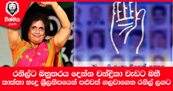 sinhala-articles-රනිල්ට-බහුතරය-දෙන්න-චන්ද‍්‍රිකා-වැඩට-බහී-තාත්තා-හැදු-ශ‍්‍රිලනිපයෙන්-පළුවක්-ගලවාගෙන-රනිල්-ලගට-යන්න-සාකච්චා-Gossip