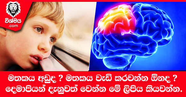 sinhala-articles-මතකය-අඩුද--මතකය-වැඩි-කරවන්න-ඕනද--Life