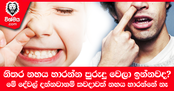 sinhala-articles-ඔබත්-නිතර-නිතර-නහය-හාරන්න-පුරුදු-වෙලා-ඉන්නවද-මේ-දේවල්-දන්නවානම්-කවදාවත්-නහය-හාරන්නේ-නෑ-Life