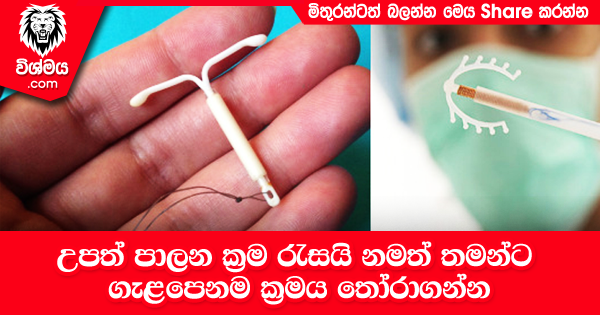 sinhala-articles-උපත්-පාලන-ක්‍රම-රැසයි-තමන්ට-ගැළපෙනම-ක්‍රමය-තෝරාගන්න-SexEducation