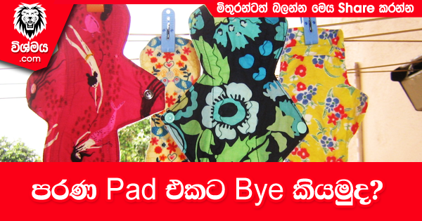 sinhala-articles-පරණ-pad-එකට-bye-කියමුද-SexEducation