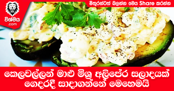 sinhala-articles-කෙලවල්ලන්-මාළු-මිශ්‍ර-අලිපේර-සලාදයක්-Kitchen