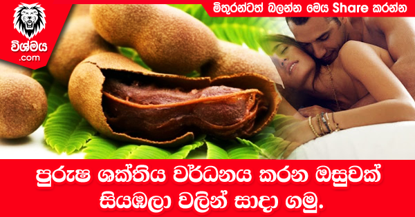 sinhala-articles-පුරුෂ-ශක්තිය-වර්ධනය-කරන-ඔසුවක්-සියඹලා-වලින්-සාදා-ගමු-SexEducation