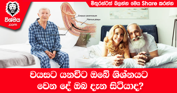 sinhala-articles-වයසට-යනවිට-ඔබේ-ශිශ්නයට-වෙන-දේ-ඔබ-දැන-සිටියාද-SexEducation