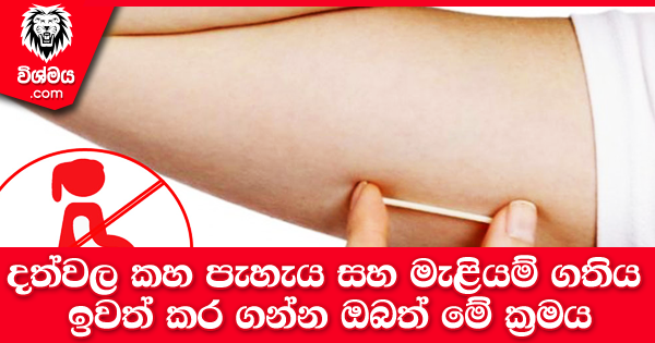 sinhala-articles-ගැබ්-ගැනීම්-වළකාලන-හෝර්මොන-කරල්-තැන්පතුව-ගැන-ඔබ-දැනගත-යුතුම-දේවල්-SexEducation