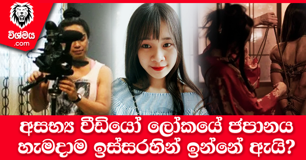 sinhala-articles-අසභ්‍ය-වීඩියෝ-ලෝකයේ-ජපානය-හැමදාම-ඉස්සරහින්-ඉන්නේ-ඇයි-SexEducation