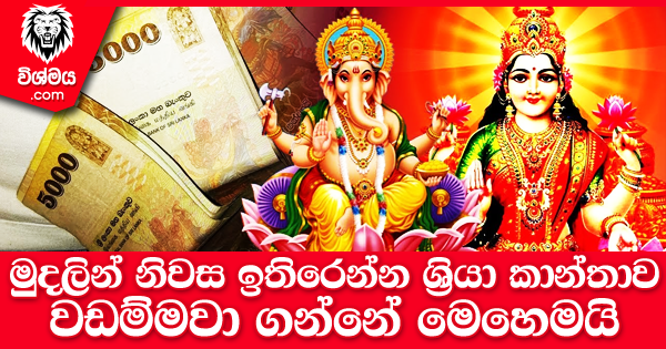 sinhala-articles-මුදලින්-නිවස-ඉතිරෙන්න-ශ්‍රියා-කාන්තාව-වඩම්මවා-ගන්නේ-මෙහෙමයි-Iranama