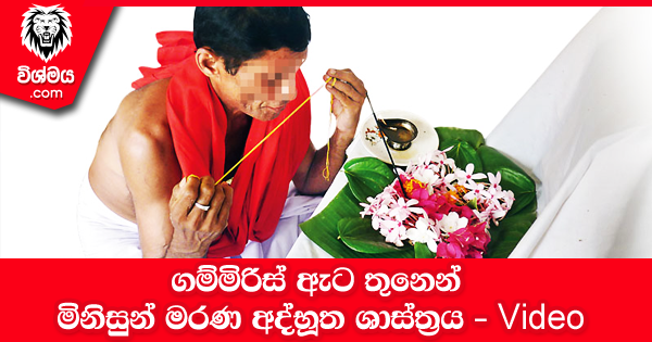 sinhala-articles-ගම්මිරිස්-ඇට-තුනෙන්-මිනිසුන්-මරණ-අද්භූත-ශාස්ත්‍රය-Iranama