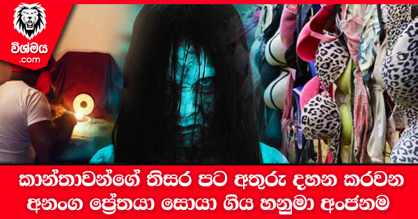 sinhala-articles-වේලෙන්න-දමා-තිබෙන-කාන්තාවන්ගේ-තිසර-පට-අතුරු-දහන-කරවන-අනංග-ප්‍රේතයා-සොයා-ගිය-හනුමා-අංජනම-Iranama