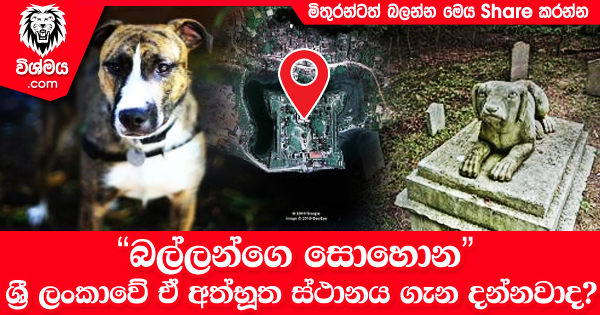 sinhala-articles-